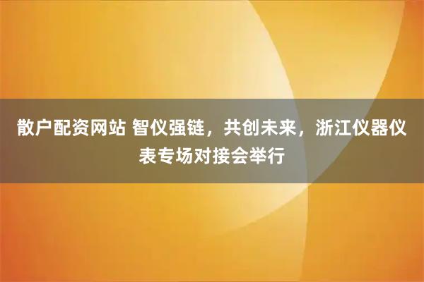散户配资网站 智仪强链，共创未来，浙江仪器仪表专场对接会举行